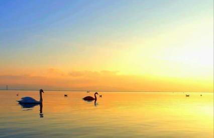 Ferienhof Broger FeWo Bergblickle mit Pool - Foto 55