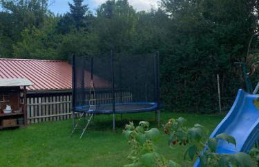 Noclegi Zielona Gęś - Foto 23