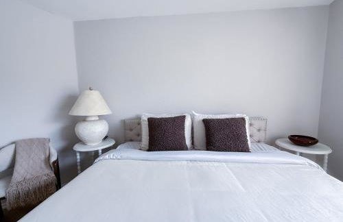 Cactus Bonito - Foto 11