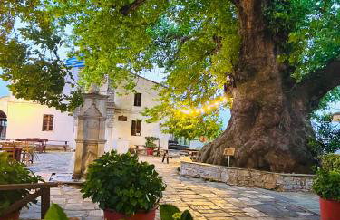 Alexias Home - Foto 18