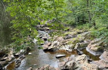 Ferienhaus Mone - Foto 31