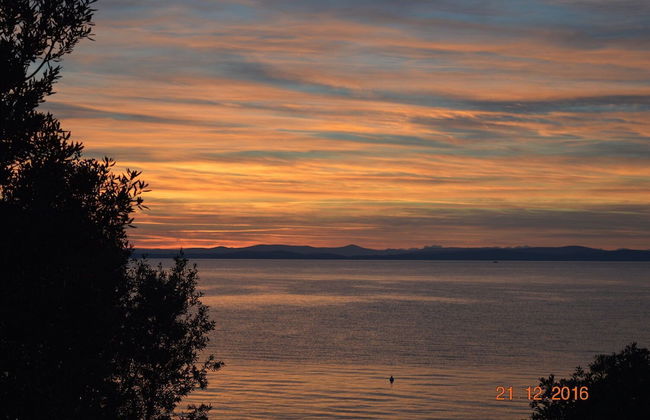 Welcome to Apartmen Palatisa - Foto 12