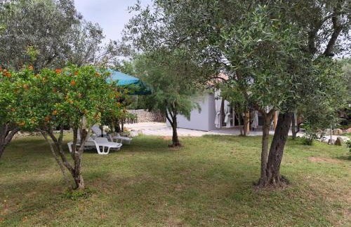 Marti's house in the olive grove - Foto 24