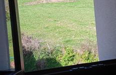 Apartamentos Rurales Sariar - Photo 43