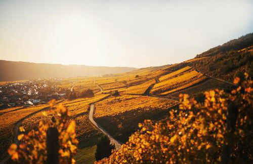 Weingut Knodt-Trossen - Foto 36