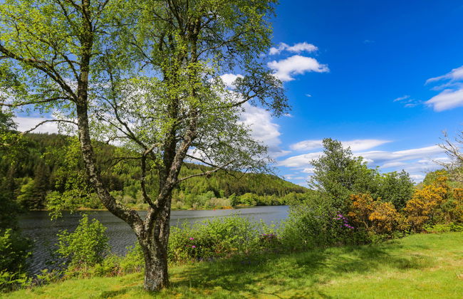 Lothlorien Lodge 4 - Foto 48