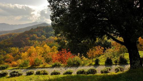 Agriturismo Giandriale - Foto 3