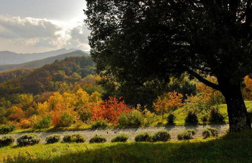 Agriturismo Giandriale - Foto 3