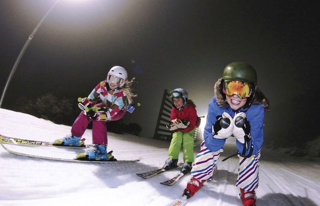 Mystic View Cottage Wandiligong - Foto 9