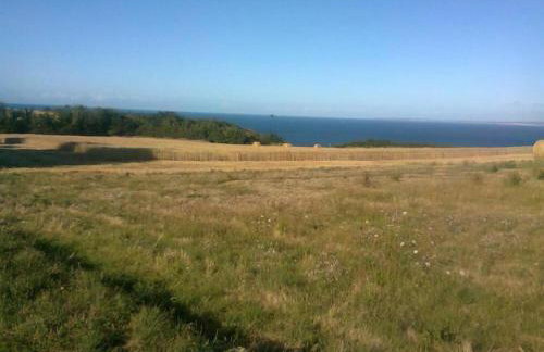 Ville Daniel - Photo 23