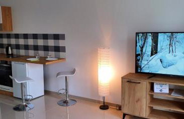 Zielone Apartamenty Katowice Chorzów - Foto 62