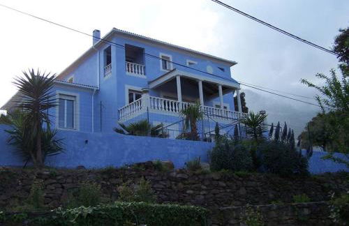 studio Alivu - Foto 1