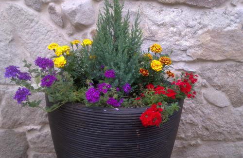 Casa Noelmar - Foto 27