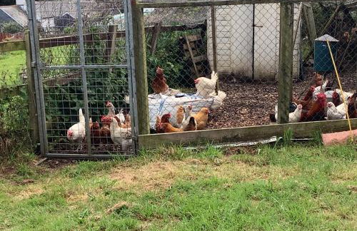 polgoon Vineyard annex Penzance - Photo 19