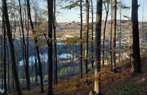 Großzügige Villa in Olsberg-Elpe - Foto 39