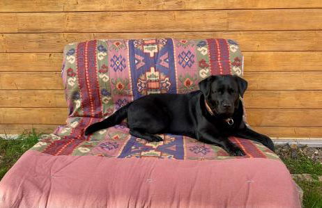 Tinyhouse Bamberg - Foto 23