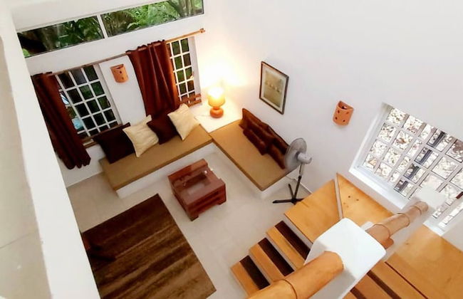 Mini Pini Birdwatching and Cenote Loft4 you Only - Foto 7