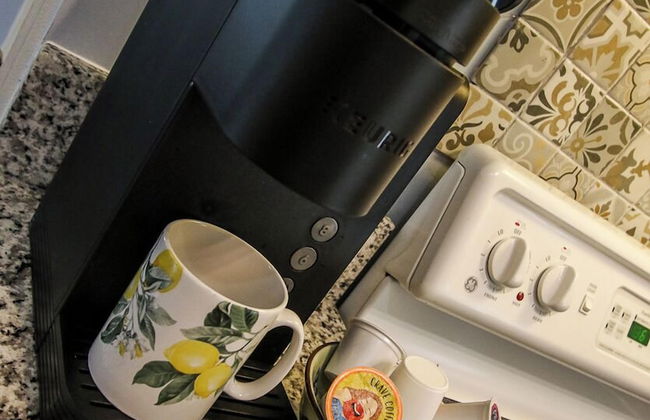 Artist House Lower in Forsyth Park Neighborhood Hist Savannah - Foto 79