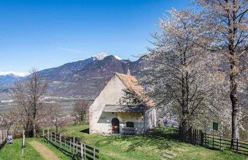 Georgenhöhe - Photo 58