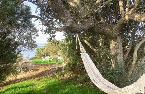 Domaine de la Coletta Maison traditionnelle - Photo 1