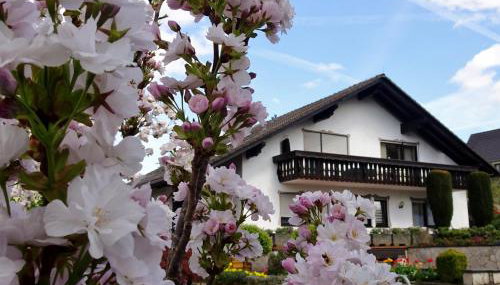 Gästehaus Braun - Foto 2