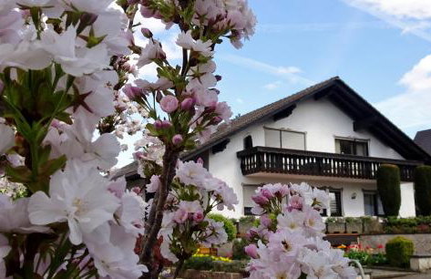 Gästehaus Braun - Foto 2