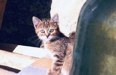 La Casa Sulla roccia - Foto 8