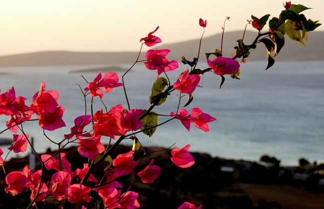 Castri Village Hotel - Foto 43