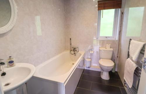 The Blacktail - Foto 16