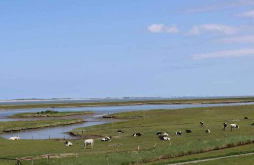 de Boer Comfortable holiday residence - Foto 17