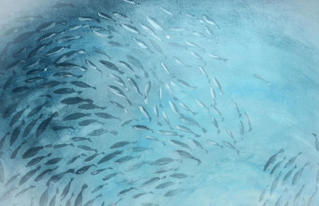 Coralli di Mare - 5 Terre JRE - Photo 41