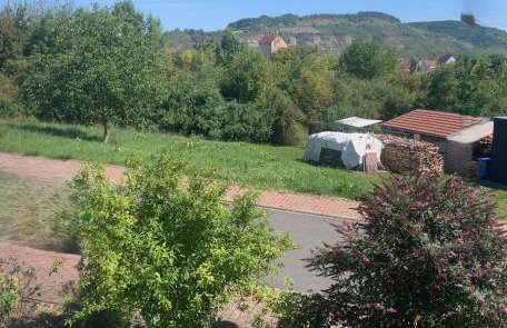 Charmante Wohnung mit eigenem Garten in der Nähe Würzburg - Foto 5