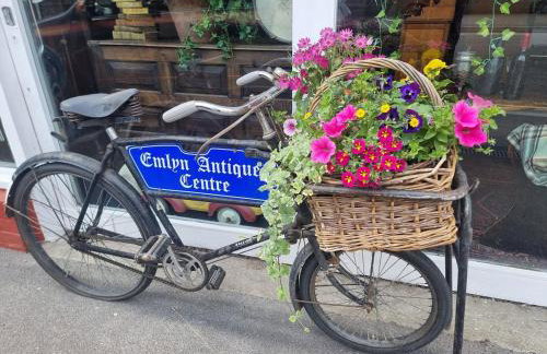 Cosy Cottage overlooking the Teifi Gorge - Foto 30