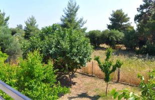 Antheia's House - Foto 17