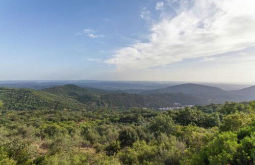 Finca Montemateo - Foto 39