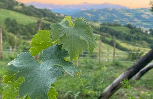 Casa Tincana - Foto 2