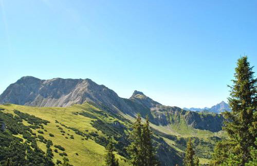 Allgäu Fewo Hüttenflair Bergblick - Foto 17