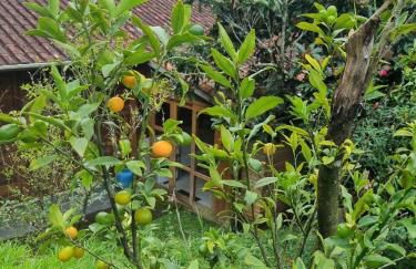 Sítio com Casa de Madeira com 2 quartos 100m2 px Centro de Salesópolis - Foto 45