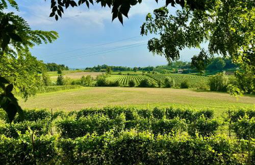 Residenza Le Vigne - Foto 1