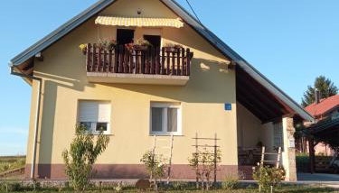 Yellow Rose - Foto 2