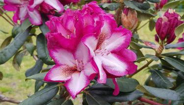 Ferienwohnungen Stricker - Foto 4