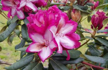 Ferienwohnungen Stricker - Foto 4