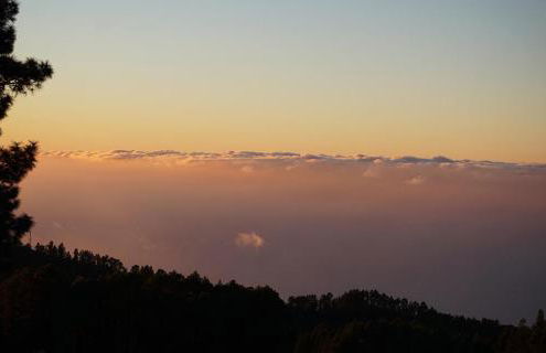 Tiny House Vogelnest - Foto 34