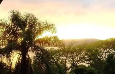 Ocean House Private Beach! - Foto 32