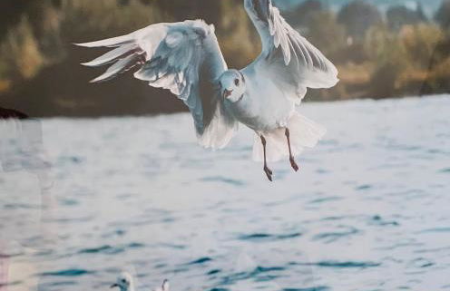 SEEMOMENTE 3-Zimmer Apartment Friedrichshafen Messe Airport Balkon Parkplatz - Foto 21