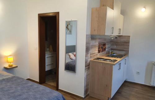 Studio apartmani Toplička bajka - Foto 20
