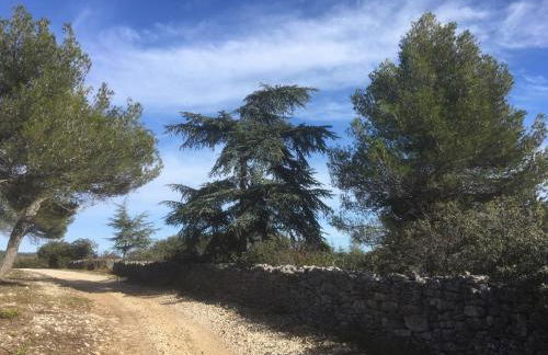 Ecolodge Au fil de l'eau, avec piscine intérieure et parc arboré - Foto 20