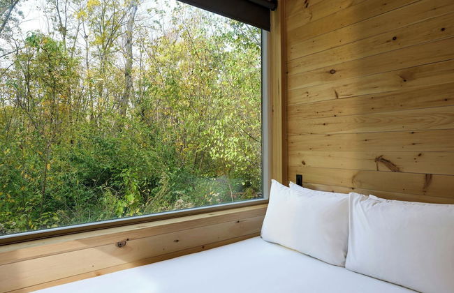 Postcard Cabins Starved Rock, Outdoor Collection by Marriott Bonvoy - Photo 22