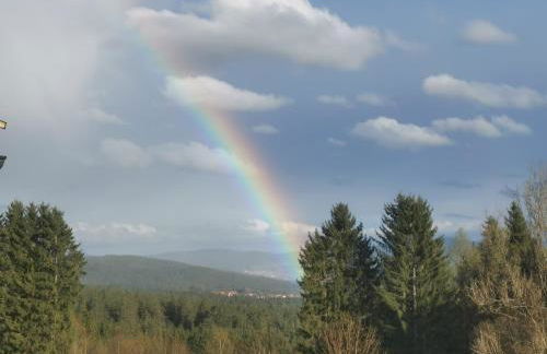 Altes Forsthaus Bodenmais - Foto 45