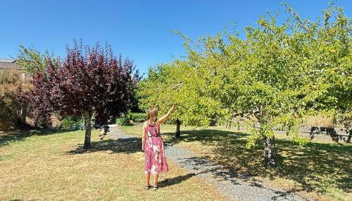 Casa Carlés by URent - Foto 2